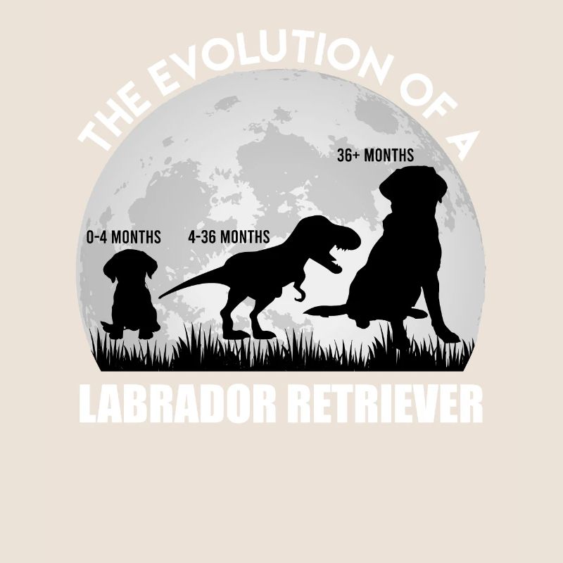 Fan du Labrador L'ÉVOLUTION D'UN Dino LABRADOR