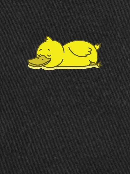 sleeping duck