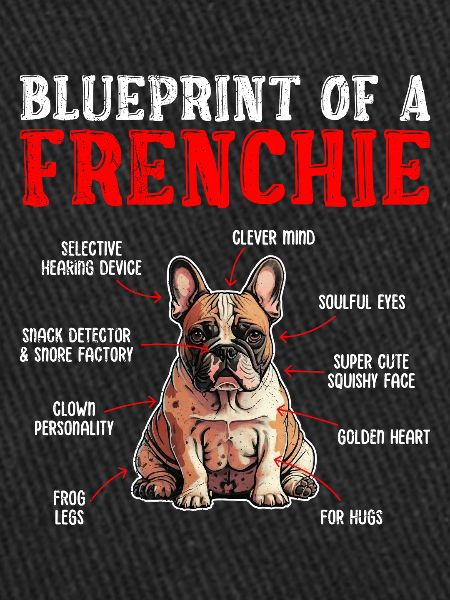 Bouledogue français Plan d’un Frenchie