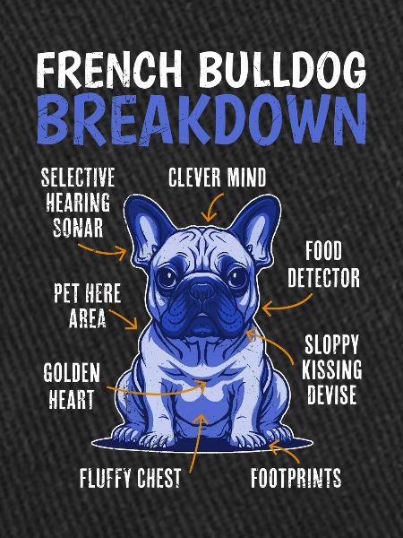 Bouledogue français BREAKDOWN Frenchie