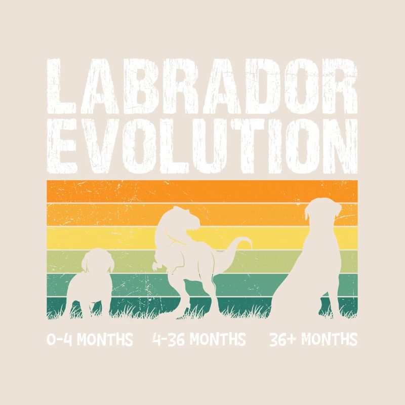 Labrador EVOLUTION Labrador Lover Drôle