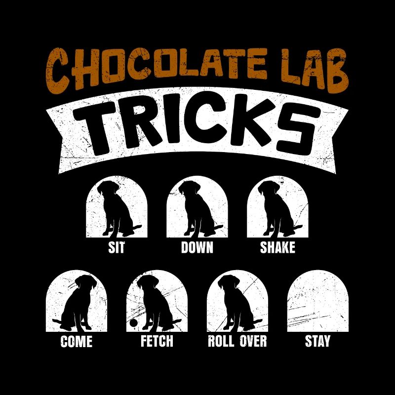 Labrador Drôle TRUCS DE LABORATOIRE DE CHOCOLAT Têtu