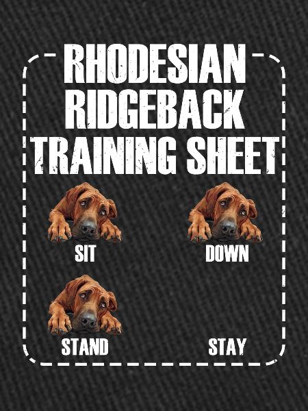 FEUILLE D’ENTRAÎNEMENT RHODESIAN RIDGEBACK Ridgeback