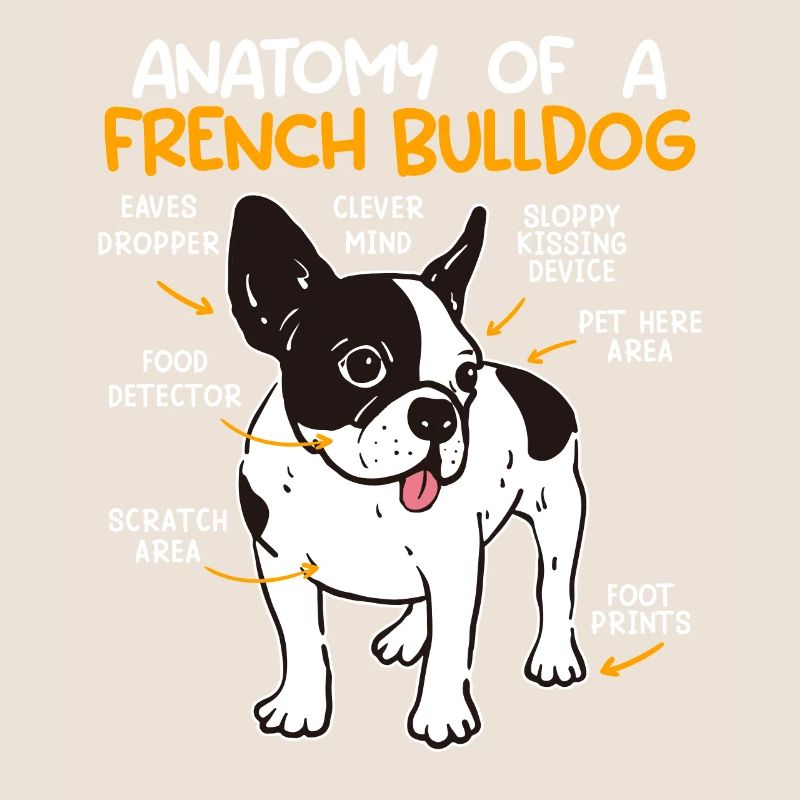 Anatomie Bouledogue Français Propriétaire Drôle