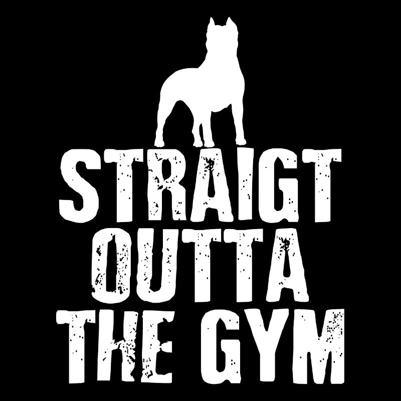 Pitbull Gym Power et Grace Conception athlétique