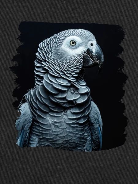 Perroquets gris d’Afrique