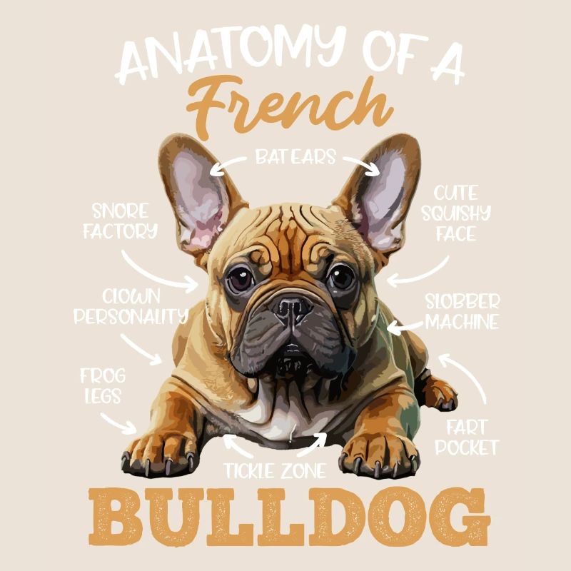 Anatomie Bouledogue Français Propriétaire Drôle