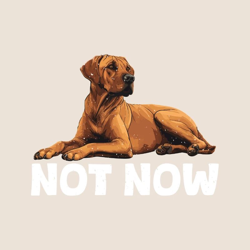 Rhodesian Ridgeback NOT NOW Propriétaires de chiens