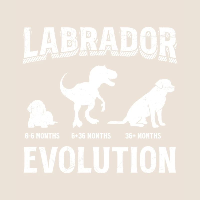 Labrador EVOLUTION Labrador Lover Drôle