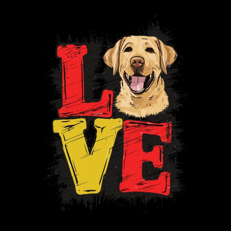 AMOUR Labrador