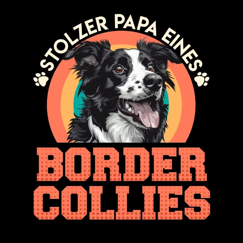 Border Collie STOLZER PAPA EINES BORDER COLLIES