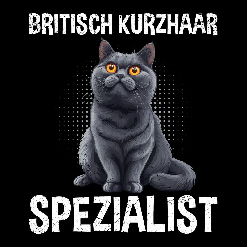 BRITISCH KURZHAAR SPEZIALIST Katzenpapa Britisch