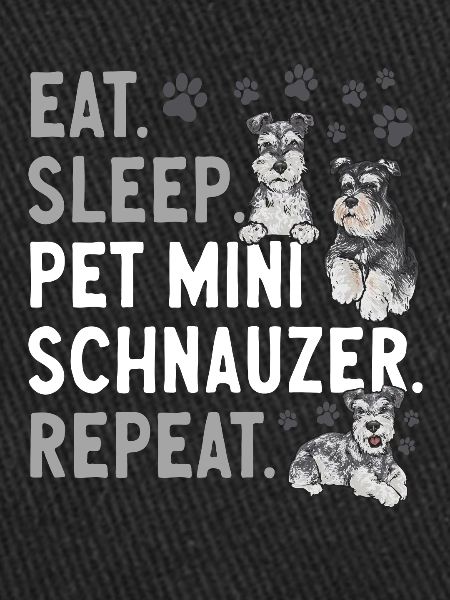 Miniature Schnauzer Dog Schnauzer