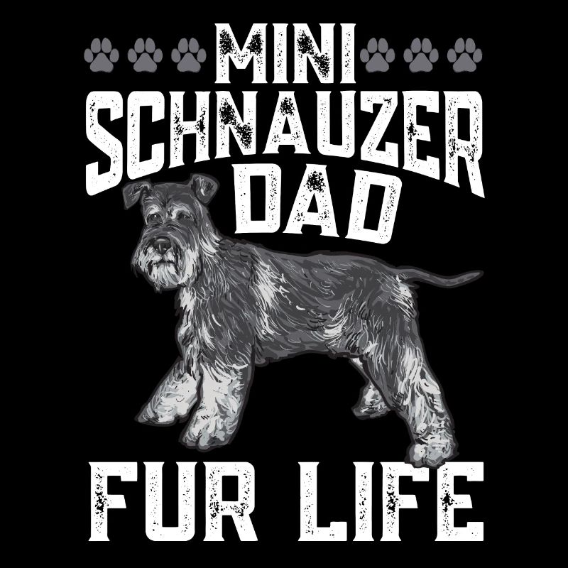 Zwergschnauzer Hund Schnauzer