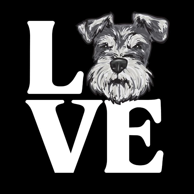 Schnauzer nain Chien Schnauzer