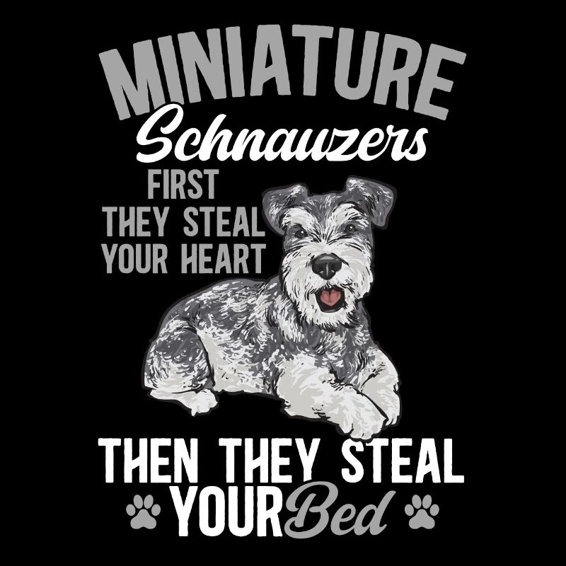 Schnauzer nain Chien Schnauzer