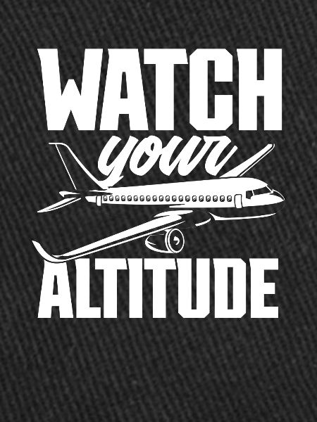 Pilot Pilot Gift Saying