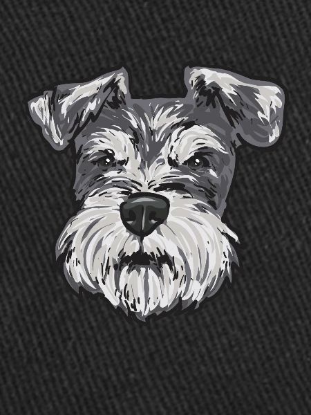Miniature Schnauzer Dog Schnauzer