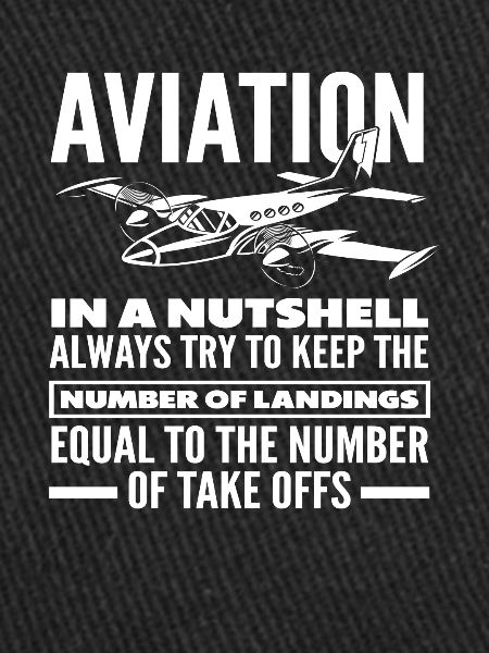 Pilot Aviation Hobby Profession