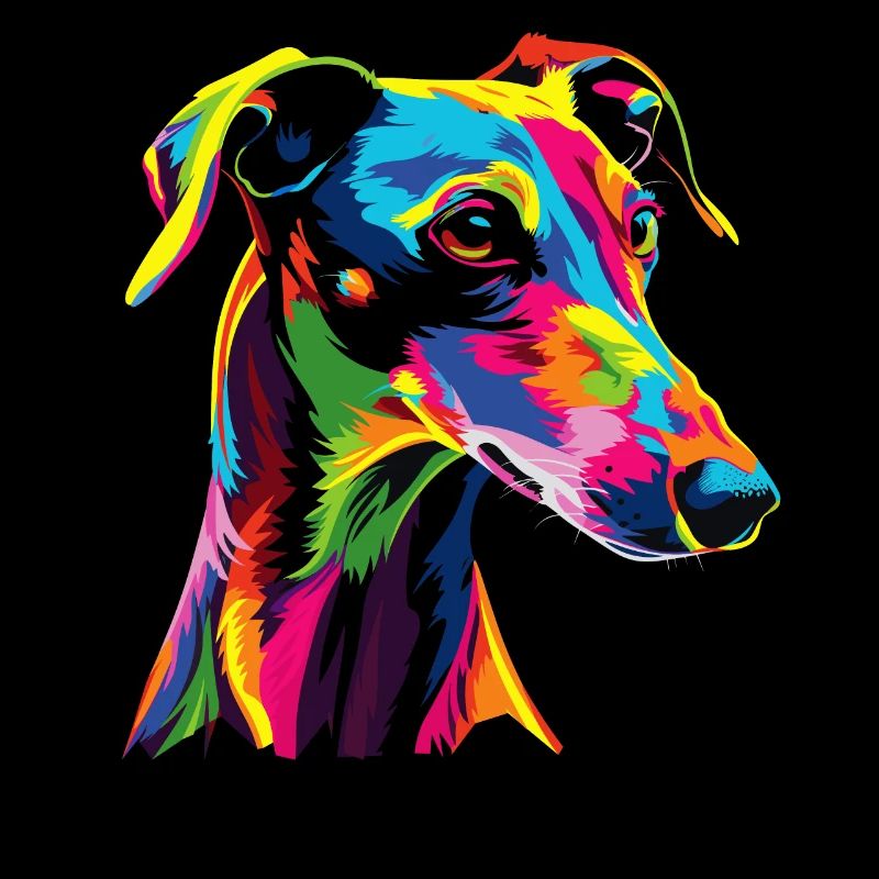 Windhund Hunde Bunte Farben Pop Art Hund Greyhound