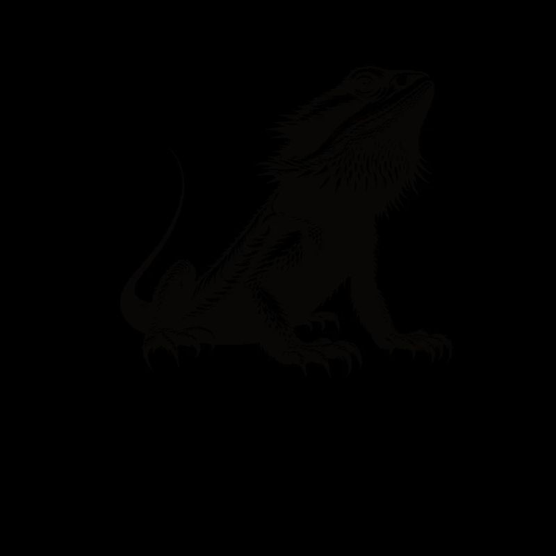 J’adore les dragons barbus