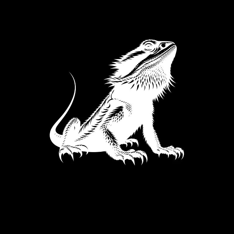 J’adore les dragons barbus
