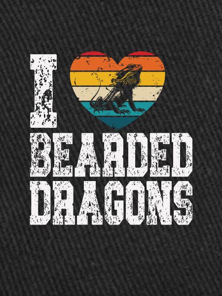J’adore les dragons barbus