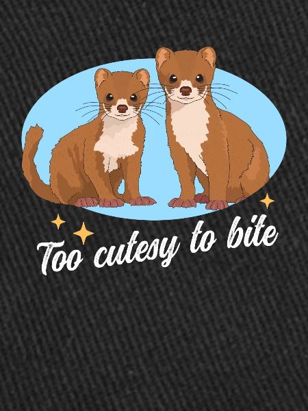 Souris Belette Belette Hermännchen Cadeau