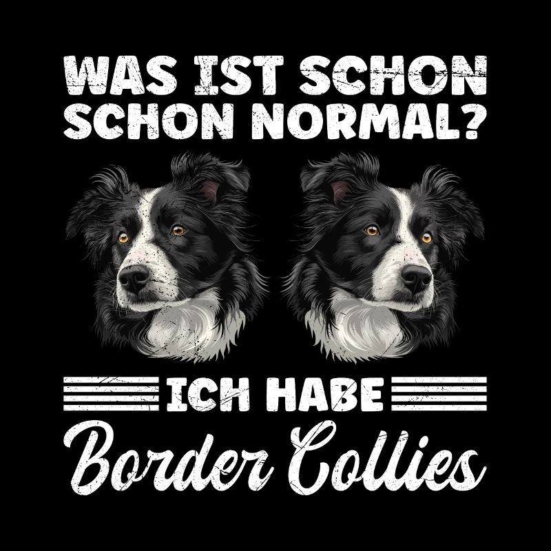 Border Collie WAS IST SCHON NORMAL? HABE BORDER