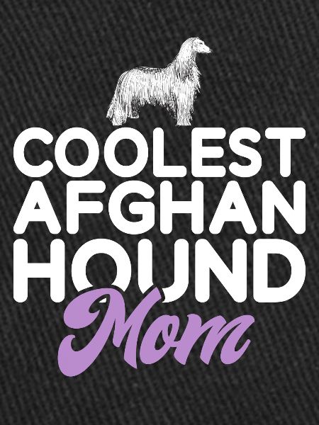 Cadeaux pour les chiens afghans