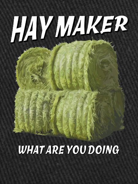 HAY MAKER