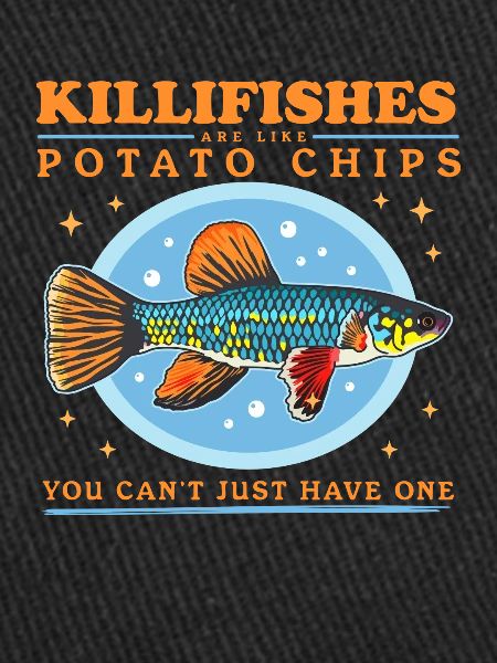 Egg-laying Toothcarp Killifish Gift