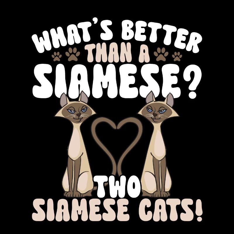 Siamese Cat Siamese Cat