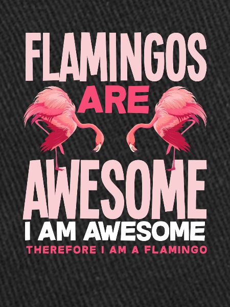 Flamingo I'm a flamingo