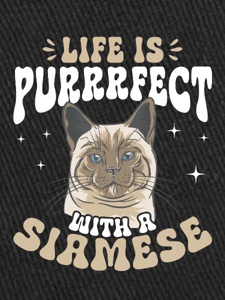 Siamese Cat Siamese Cat