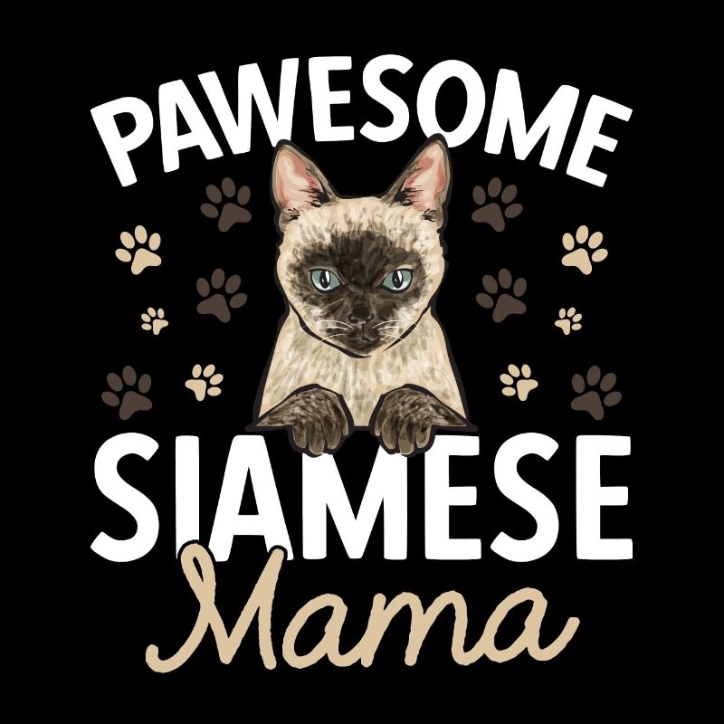 Siamese Cat Siamese Cat
