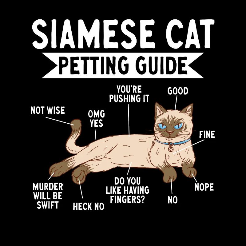 Siamese Cat Siamese Cat