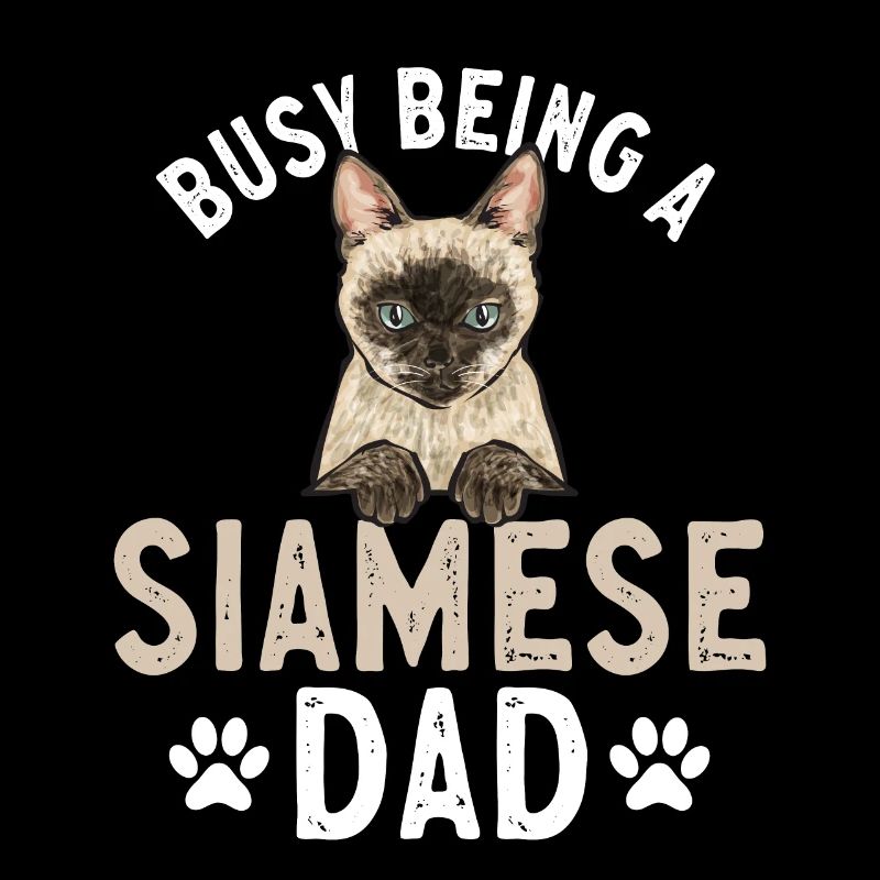 Siamese Cat Siamese Cat