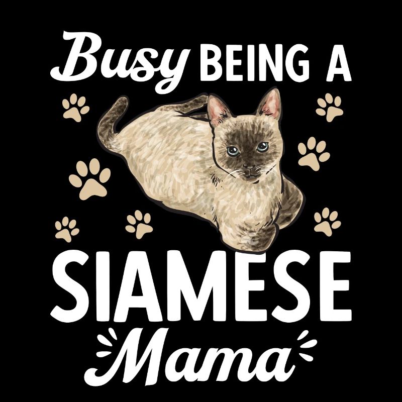 Siamese Cat Siamese Cat