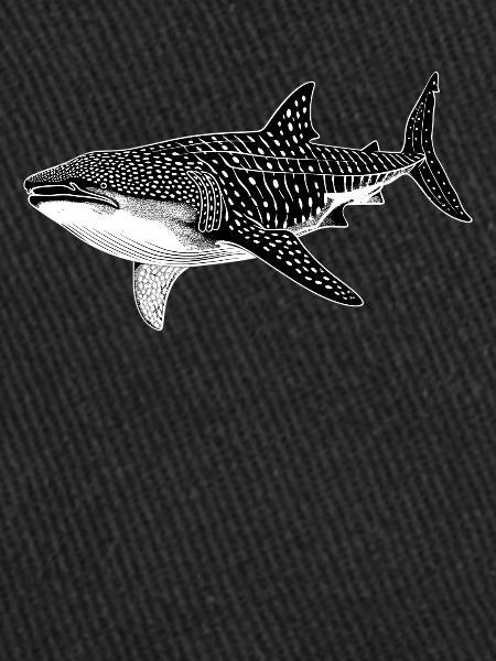 requin-baleine Requin-baleine requin-baleine