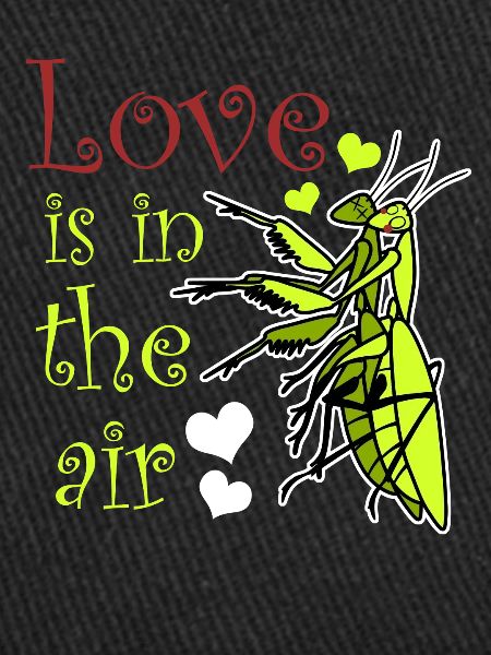 Praying Mantis Love