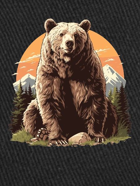 Ours Bären Bär