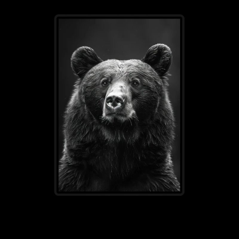 Bear Bären Bär