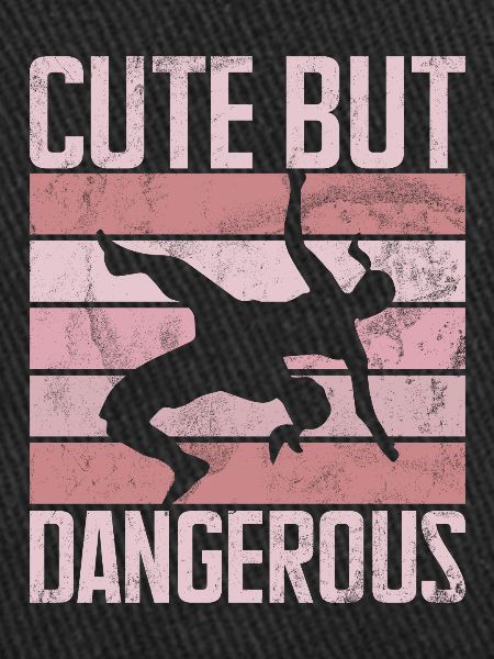 Lutteuse Fille Grappling Lutteuse Femmes