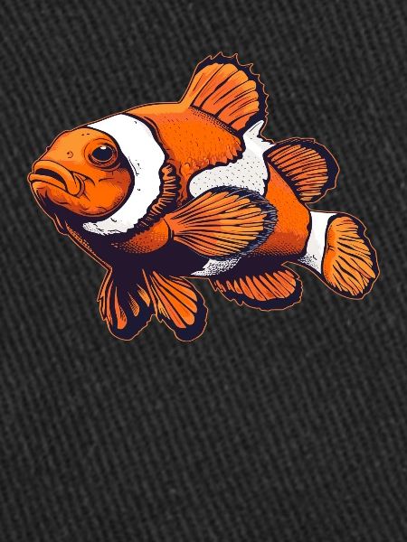 Clownfish Clownfische Clownfisch