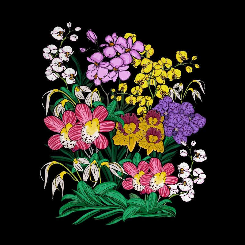 Orchideen Blumen Pflanzen Geschenk Orchidee