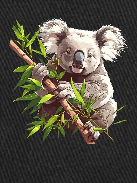 Koalas Koala
