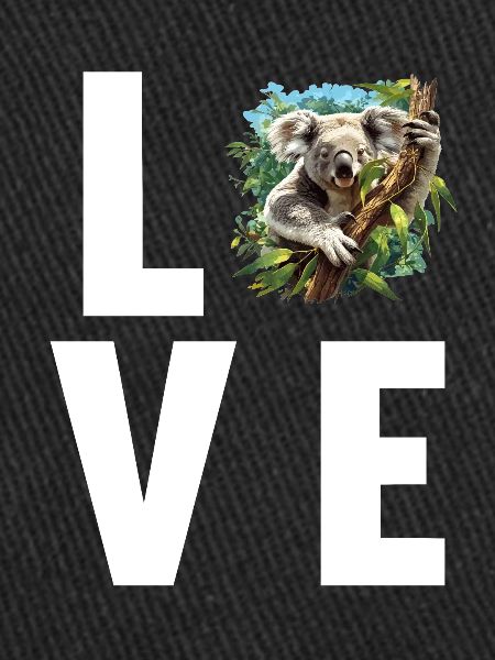 Koalas Koala
