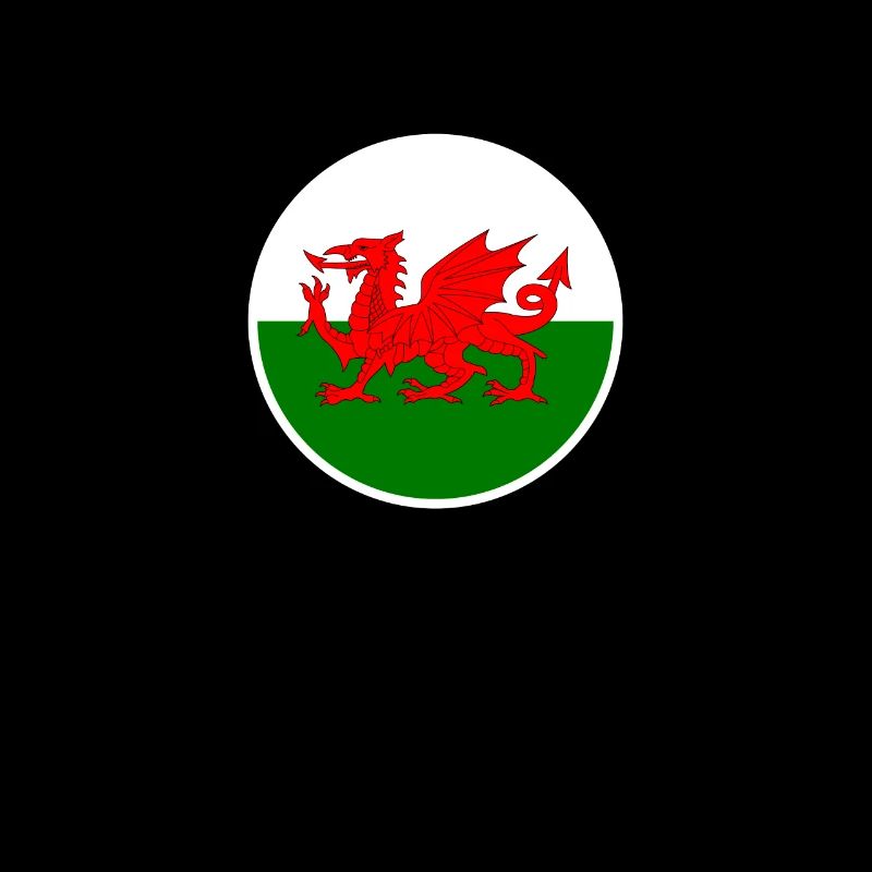 Wales Welsh flag Welsh