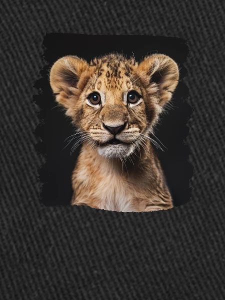 Lion Löwen Löwe